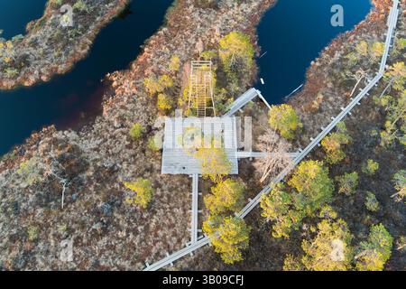 Vue aérienne du drone : tour d'observation en acier et sentier en bois dans la magnifique tourbière de Seli, Estonie. Banque D'Images