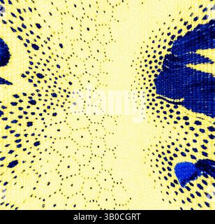 Un motif vibrant présente un jaune vif et un bleu profond, avec des motifs de points complexes rayonnant du centre, créant une texture textile dynamique et accrocheuse. Un motif floral vibrant présente des fleurs bleues vives et des feuilles délicates sur un fond jaune doux, créant un design vif et joyeux. Art classique avec une touche moderne réinventé par Artotop, tissus français transformés, première moitié du XIXe siècle, art classique avec une touche moderne réinventé par Artotop Banque D'Images