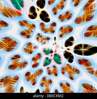 Un réseau complexe de formes organiques, entrelacées avec des couleurs et des textures vibrantes, créant un motif visuel fascinant qui évoque la complexité des formes naturelles., Un motif circulaire met en valeur un arrangement complexe de formes organiques et de contrastes de couleurs vibrantes, avec des grappes avec des contours et des textures distinctifs. Le design crée un rythme visuel captivant, évoquant un sentiment de complexité et d'harmonie dans la nature. Art classique avec une touche moderne réinventé par Artotop, tissus français transformés, première moitié du XIXe siècle, art classique avec une touche moderne réinventé Banque D'Images