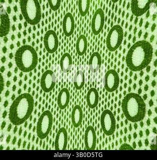 Un motif vibrant avec des cercles concentriques dans différentes nuances de vert, placé sur un fond texturé avec une apparence de maille, crée un rythme visuel dynamique., Un motif circulaire vert vibrant avec une série de petites formes ovales répétitives, créant une texture visuellement attrayante. Art classique avec une touche moderne réinventé par Artotop, tissus français transformés, première moitié du XIXe siècle, art classique avec une touche moderne réinventé par Artotop Banque D'Images