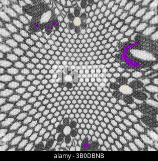 Un motif complexe présente des motifs floraux délicats entrelacés avec un réseau texturé, accentué par des formes violettes vibrantes qui ajoutent un contraste vif à la composition., Un motif textile circulaire avec un motif en maille orné de petites fleurs et de subtils accents colorés. Art classique avec une touche moderne réinventé par Artotop, tissus français transformés, première moitié du XIXe siècle, art classique avec une touche moderne réinventé par Artotop Banque D'Images