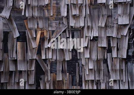 gros plan de vieilles secousses de cèdre en bois altérées ou de bardeaux tombant en morceaux sur le mur extérieur du bâtiment abandonné rustique grunge fond wallp Banque D'Images