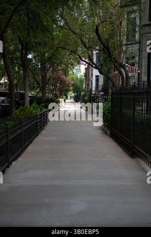 Charmant trottoir bordé de clôtures en fer forgé et de plantes vertes luxuriantes des deux côtés. Image stock parfaite pour jardin urbain, promenade paisible, voisin Banque D'Images