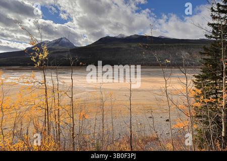 164 ruisseau peu profond sinueux de la rivière maligne qui coule dans le bassin du lac Medicine, principalement souterrain, sauf en saison de fonte des neiges. Jasper NP-Alberta-Canada Banque D'Images
