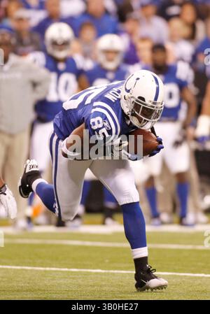 Janvier 2, 2011 - Indianapolis, Ind - le receveur des Colts d'Indianapolis Pierre Garcon, #85, trébuche alors qu'il essaie d'obtenir son équilibre sur un jeu de passes au cours du deuxième quart de la victoire 23-20 des Colts sur les Titans du Tennessee au Lucas Oil Stadium à Indianapolis. ..photo de Chad Ryan. (Crédit image : © Chad Ryan/Cal Sport Media/ZUMAPRESS.com) Banque D'Images