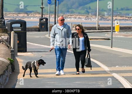 Exmouth, Devon, Royaume-Uni. 24 avril 2025. Météo britannique : promeneurs de chiens sur le front de mer profitant du soleil chaud à la station balnéaire d'Exmouth dans le Devon. Crédit photo : Graham Hunt/Alamy Live News Banque D'Images