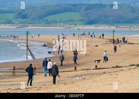 Exmouth, Devon, Royaume-Uni. 24 avril 2025. Météo Royaume-Uni : les amateurs de plage apprécient le soleil chaud de la station balnéaire d'Exmouth dans le Devon. Crédit photo : Graham Hunt/Alamy Live News Banque D'Images