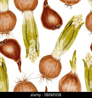 Bulbe de fleur avec des feuilles vertes et des boutons et des racines sans couture. L'illustration aquarelle convient aux sujets liés à l'écologie, au jardinage, à la nature. Les oignons, une épice pour cuisiner. Banque D'Images