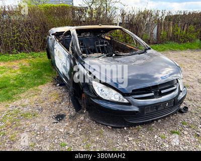 Une berline noire complètement brûlée avec des dommages importants causés par un incendie et un impact se trouve abandonnée sur une parcelle rocheuse à côté d'une haie dans une zone rurale. Banque D'Images