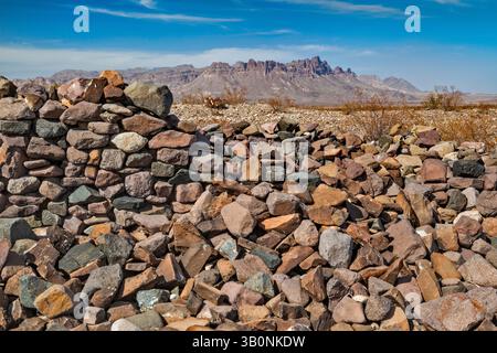 Restes de mur de pierre à Johnson Ranch, Chisos Mountains in distance, River Road, Chihuahuan Desert, Big Bend National Park, Texas, États-Unis Banque D'Images