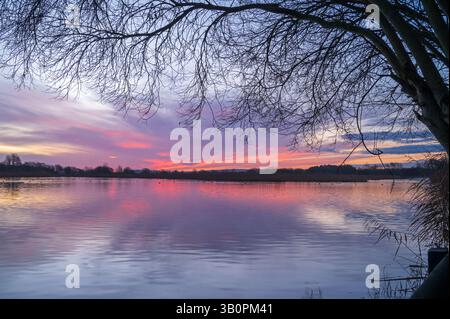 Première lumière sur un matin d'hiver au-dessus de la réserve naturelle de RSPB Ham Wall, Ashcott, Somerset, Angleterre, Royaume-Uni. Banque D'Images