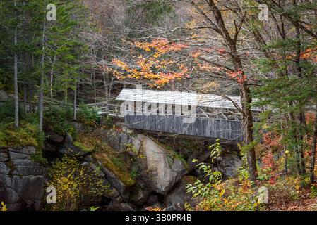 Pont historique couvert en bois sur une gorge étroite en automne Banque D'Images
