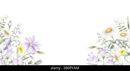Aquarelle fleurs sauvages camomille, chellflower, papillon, pois souris et herbes de prairie. Illustration du cadre horizontal rectangulaire isolé dessiné à la main o Banque D'Images