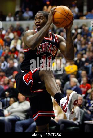 14 janvier 2011 : le garde-tireur des Chicago Bulls, Ronnie Brewer (11 ans), prend un rebond lors d'un match de basket-ball NBA entre les Chicago Bulls et les Indiana Pacers au Conseco Fieldhouse à Indianapolis, Indiana. Les Bulls ont battu les Pacers 99-86(image crédit : © Pat Lovell/Cal Sport Media/ZUMAPRESS.com) Banque D'Images