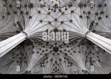 Barbastro, cathédrale Santa María de la Asunción (gothique, XVIe siècle et plus tard). Voûtes côtelées. Somontano de Barbastro, province de Huesca, Aragón, Espagne. Banque D'Images