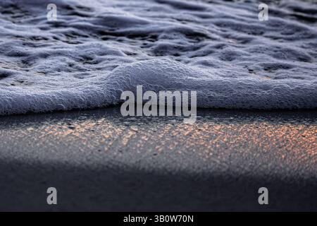 Une douce vague, couronnée d'écume marine, glisse sur la plage au crépuscule. La mousse brille doucement contre le sable humide Banque D'Images
