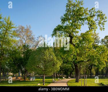 Moments de printemps dans le parc de la ville de Budapest. Le nom hongrois est Varosliget. Incroyable journée ensoleillée avec des lumières vives. Les branches des arbres sont vertes parce que m Banque D'Images