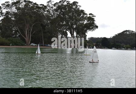 Voiliers jouets en bois sur l'eau, course de yachts en bois à voile télécommandés dans un étang, San Francisco, Californie, États-Unis Banque D'Images