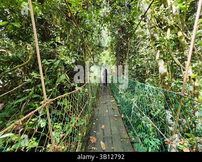 Vue arrière de la femme à Tree Top Canopy dans la forêt tropicale de Danum Valley à Lahad Datu Banque D'Images