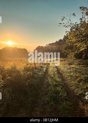 Lever de soleil doré sur un champ rural avec chemin herbeux et lumière du matin Banque D'Images