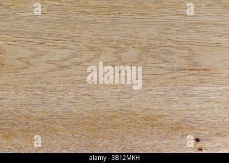 Gros plan avec un grain de bois aux tons naturels avec des lignes horizontales et des variations de couleurs subtiles dans tout le cadre. Banque D'Images