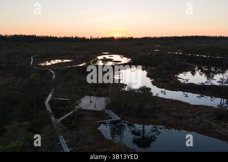 Nature sauvage estonienne au crépuscule : prise de vue aérienne de la tourbière de Seli avec promenade, tour d'observation et reflets aquatiques. Banque D'Images