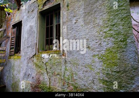 Bad Illstern, italie., lieu perdu. Extérieur du bâtiment en décomposition avec deux fenêtres, une avec des barres et du verre brisé, recouvert de mousse et de crasse. Banque D'Images