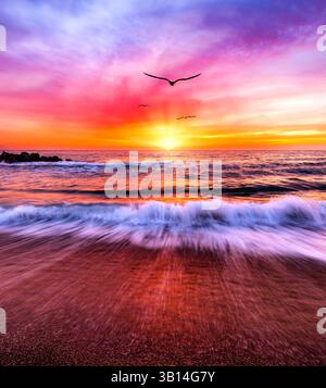 Une silhouette d'oiseau surprend les nuages colorés au coucher du soleil Banque D'Images