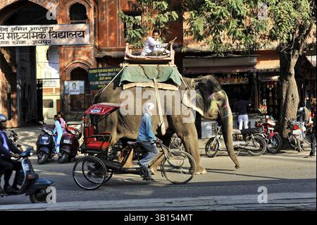Jaipur, Rajasthan, Inde du Nord, Inde, Asie, un éléphant et des véhicules se déplacent à travers un paysage de rue ensoleillé, en Asie Banque D'Images