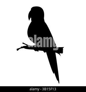 Vecteur minimaliste de silhouette de perroquet Illustration de Vecteur