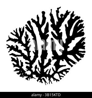 Silhouette comme champignon moule dans la boîte de Pétri, chimie, biologie, médecine, recherche. Icône, logo. Isolé sur fond blanc. Illustration vectorielle Illustration de Vecteur