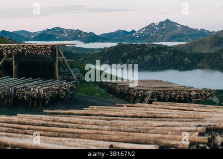 Structures de séchage du poisson dans les Lofoten avec vue sur la montagne brumeuse Banque D'Images