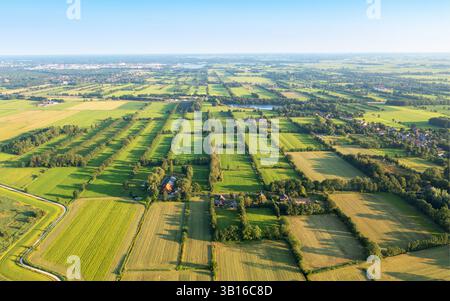 Paysage agricole sur landes avec des haies près de Tike, vue aérienne, pays-Bas, Frise, Drachten, de Tike Banque D'Images