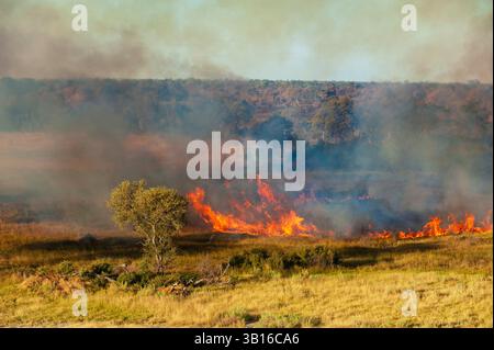 Vue aérienne d'un feu de brousse dans le delta de l'Okavango, Botswana, delta de l'Okavango Banque D'Images