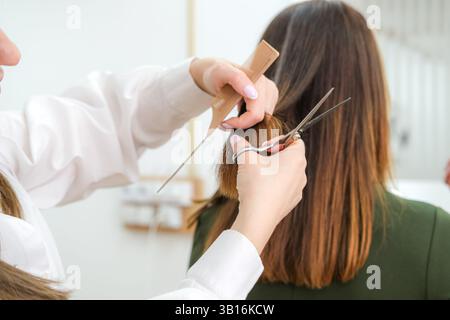 Mains de coiffeur taillant les extrémités des cheveux longs avec des ciseaux et peigne, travail de salon, traitement capillaire, industrie de la beauté, service de toilettage, cheveux coupés Banque D'Images