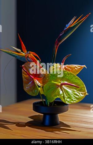 Élégant arrangement de fleurs tropicales avec anthurium et oiseau de paradis dans un vase noir. Banque D'Images