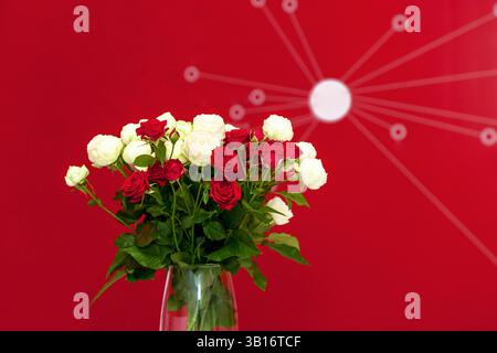 Arrangement floral élégant avec des roses rouges et blanches vibrantes dans un vase en verre clair sur un fond rouge vif avec des lignes blanches abstraites, perfe Banque D'Images