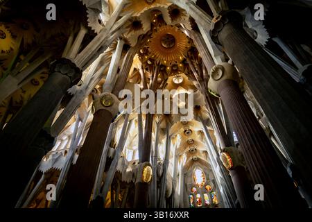 Une superbe vue intérieure d'une grande cathédrale avec de hautes colonnes au design complexe et un plafond orné de motifs ornés et d'un éléme doré Banque D'Images