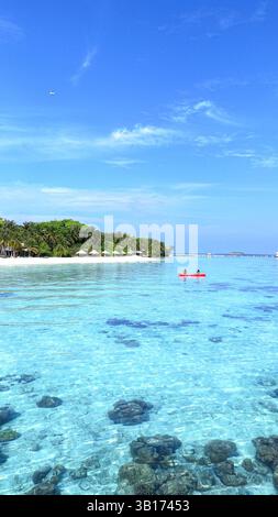 Vue aérienne île tropicale des Maldives entourée d'une mer turquoise, lumière du jour et verdure luxuriante, évasion estivale, agence de voyage, hôtel Resort Banque D'Images