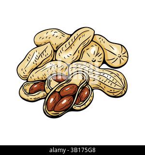 Groupe d'arachides dans le style vectoriel de dessin animé avec remplissage de couleur. Idéal pour les emballages de collations, les icônes alimentaires et la marque naturelle. Illustration de Vecteur