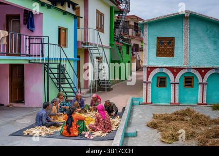 Villageois épluchant des épis de maïs dans la cour du village de Sainji près de Mussoorie, Uttarakhand, Inde Banque D'Images