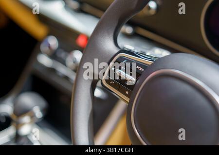 gros plan capturant les commandes avancées au volant dans un habitacle de voiture électrique élégant, mettant l'accent sur le design moderne et la technologie conviviale. Banque D'Images