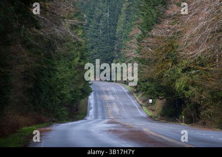 PORT ANGELES, WA, US - 12 avril 2025 : US route 101 vide, ou US Highway 101 traversant le milieu de la forêt pluviale de Hoh dans le parc national olympique. Banque D'Images