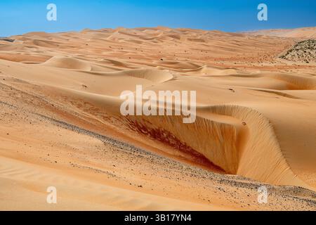 Voyage dans le désert, la dune de Moreeb ou Tal Moreeb est une dune de sable de grande taille située à proximité de l'oasis de Liwa dans le désert du quartier vide aux Émirats arabes Unis Banque D'Images