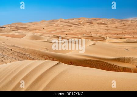 Voyage dans le désert, la dune de Moreeb ou Tal Moreeb est une dune de sable de grande taille située à proximité de l'oasis de Liwa dans le désert du quartier vide aux Émirats arabes Unis Banque D'Images