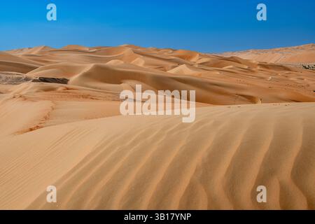 Voyage dans le désert, la dune de Moreeb ou Tal Moreeb est une dune de sable de grande taille située à proximité de l'oasis de Liwa dans le désert du quartier vide aux Émirats arabes Unis Banque D'Images
