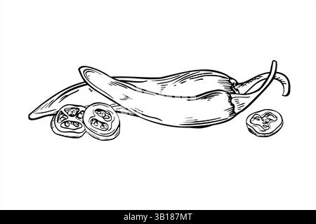 Illustration d'art de ligne de poivre vectorielle peinte par des encres noires. Entier et tranches de jalapeno, Cayenne, Chili croquis réaliste. Légume pour épicé Illustration de Vecteur
