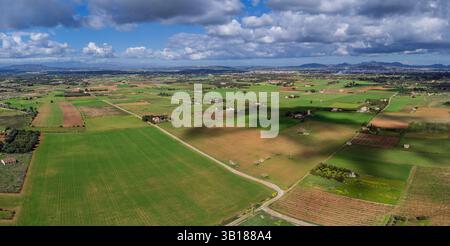 Es Pla de Llodrà campagne, Manacor, Majorque, Îles Baléares, Espagne. Banque D'Images