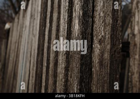 Un gros plan d'une clôture en bois altérée montre la texture rugueuse et le grain de bois vieilli. Les planches sont alignées verticalement, avec des espaces créant une profondeur an Banque D'Images
