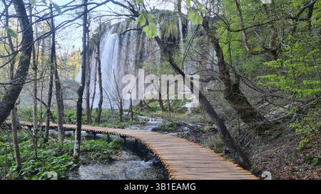 Chemin en bois à travers une forêt luxuriante menant à une cascade pittoresque dans le parc national des lacs de Plitvice en Croatie. Banque D'Images